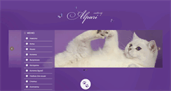 Desktop Screenshot of chinchilla-cat.com